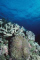 uwphotoer member image 