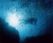 Heiko Roehrs member image 