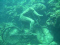 k.hodgkins member image 