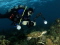 ivak member image 
