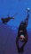 brendiver member image 