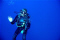 seagypsydivers member image 