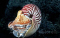 thesnake member image 