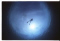 Erwin Kuffer member image 