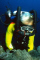 DIRDavid member image 