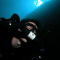 Roy Attfield member image 