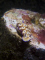 aquastills member image 