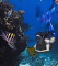 Mermaid Sharkey member image 