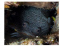RICK THIBERT member image 
