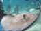 diver2tdg member image 