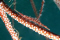 Carol202 member image 
