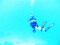 papamac58 member image 