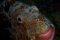 clausfeijo member image 