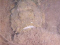 Eric Walker member image 