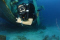 seal17 member image 