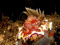 Nautilus71 member image 