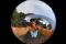 gringalouca member image 