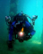 Steve Wright member image 