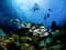 Scuba Dan member image 