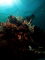 bagus1268 member image 