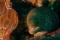 BUDMAN member image 