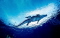 waterguy member image 