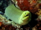 christopher  lynch member image 