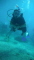 TjRjn member image 