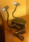 divebud12 member image 