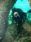 Elena member image 