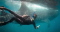 PhotographyDiver member image 