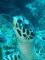 BunburyAndrew member image 