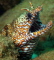Tim Foskett member image 