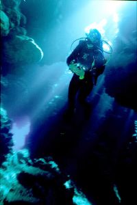 Diver in cave system Southern Red Sea. Nikon F90X Natural... by Robin Orrow 