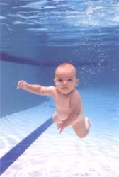Waterbaby Ellie, 5 months old, diving during swim lesson,... by Tricia Ann Roy 