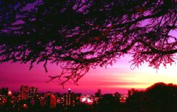 Honolulu sunset; Nikon F - 24mm lens by Rick Tegeler 