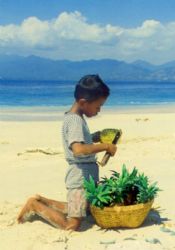 Gili Meno, Lombok, Indonesia - pineapple anyone? by Claudia Pellarini 