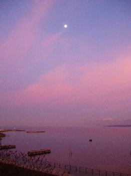 Lever de lune sur le Lac de Genève / Nyon - Suisse by Philippe Brunner 