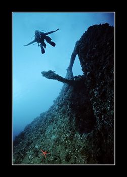 It must be the nitrogen narcosis. Either my dive buddy th... by Johannes Felten 