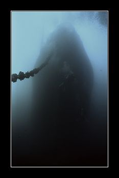 GHOST SHIP Thistlegorm, bow section, taken from sea bottom. by Johannes Felten 