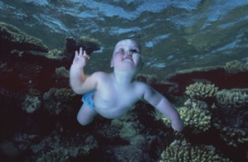 Composite image with reef taken in Red Sea and baby taken... by Len Deeley 