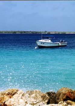 Blue, Blue Bonaire!  I took this photo of the inviting bl... by Robyn Lynn Churchill 