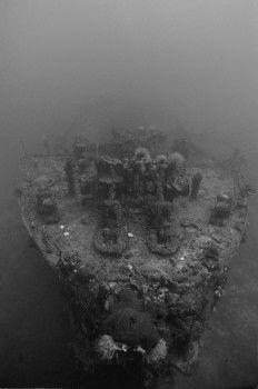 Ghost ship -- the bow of the Katsuragisan Maru in Truk La... by Eric Bancroft 