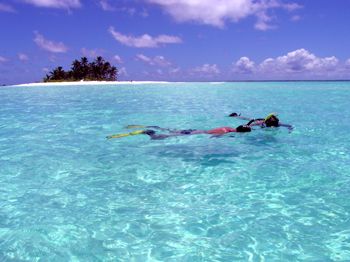 Floating around in front of Prison Island, Cocos (Keeling... by Karen Willshaw 