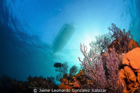 This is a view from the coral reef in Cabo Pulmo National... by Jaime Leonardo Gonzalez Salazar 