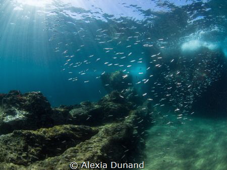 Trying to catch the atmosphere of Lanzarote underwater. by Alexia Dunand 