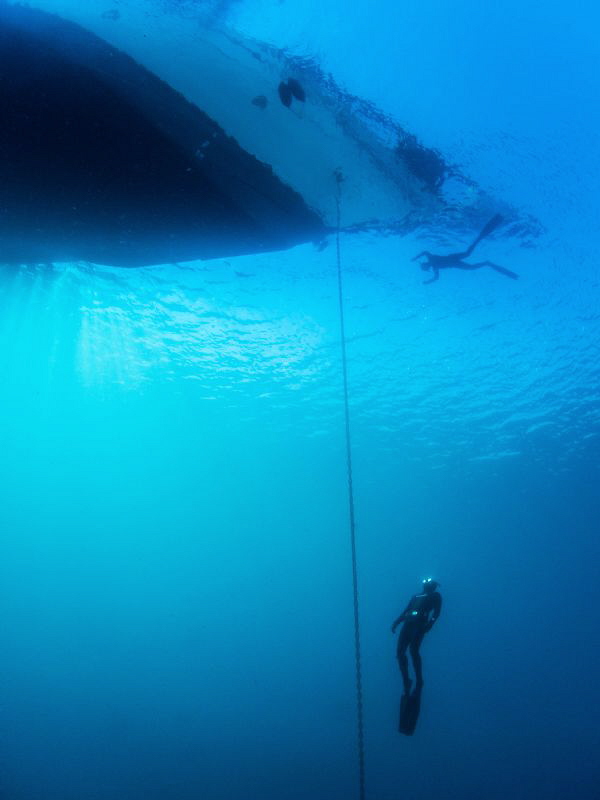 free diver ascending to the bow of Silolona.  Compact cam... by Paul Colley 