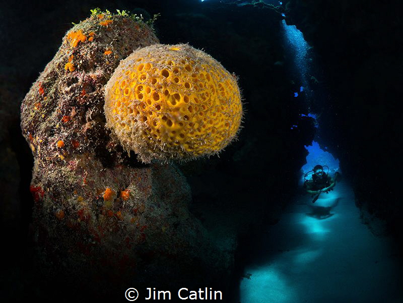 Orange ball sponge and diver inside swim through at Eden ... by Jim Catlin 