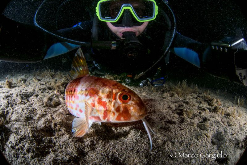 Selfie with the Mullet fish by Marco Gargiulo 