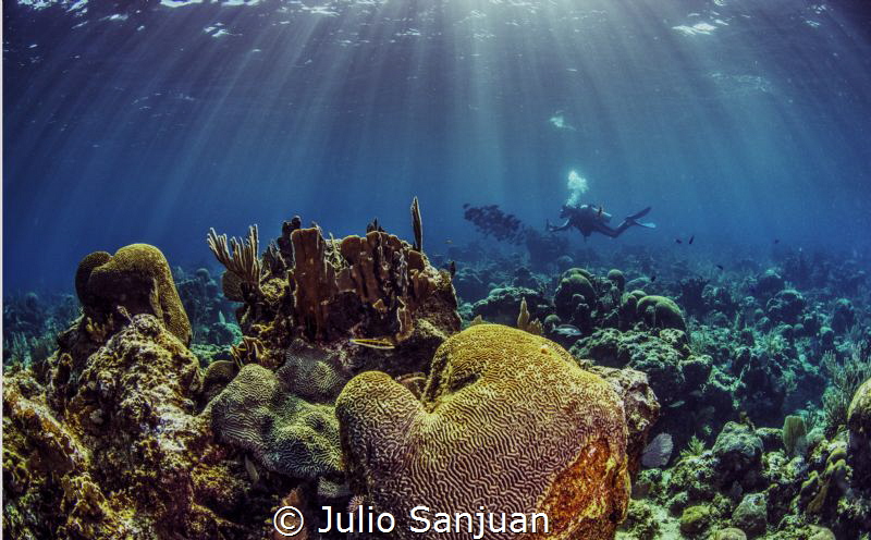 Underwater lights by Julio Sanjuan 